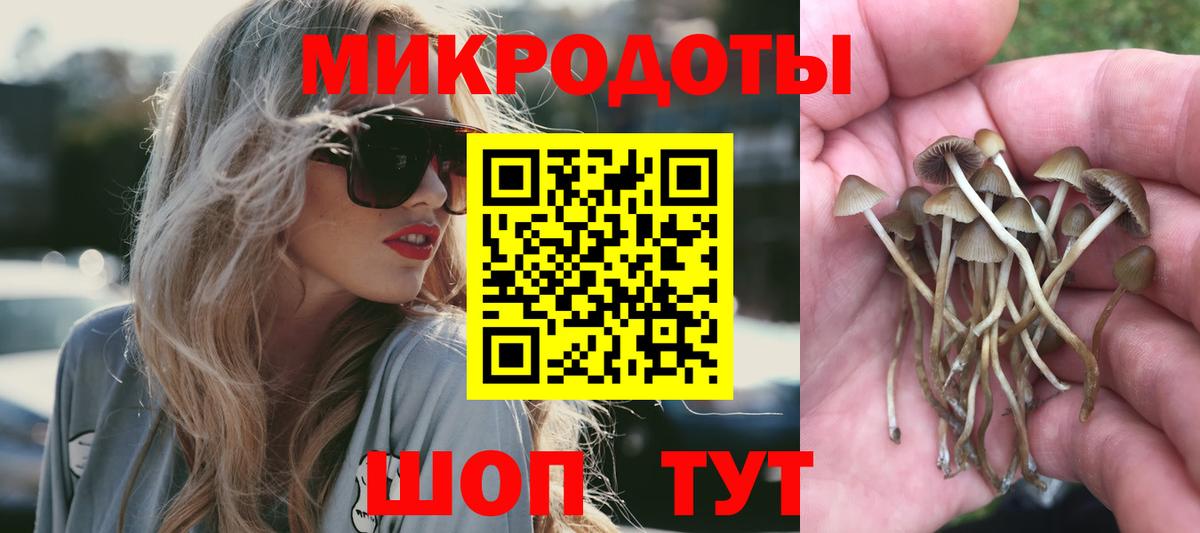 Галлюциногенные грибы Psilocybe Семилуки
